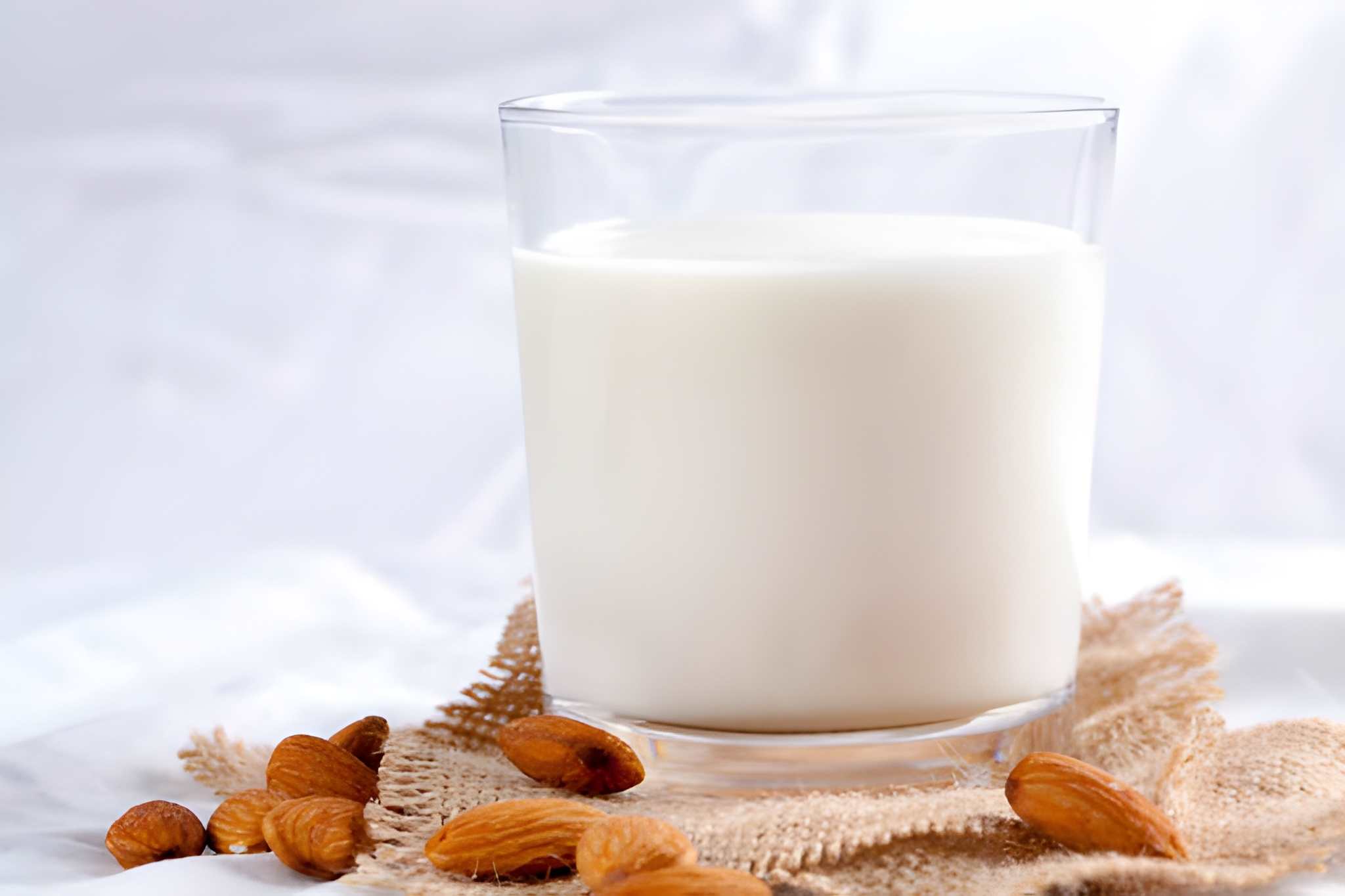 Almond Milk Recipe